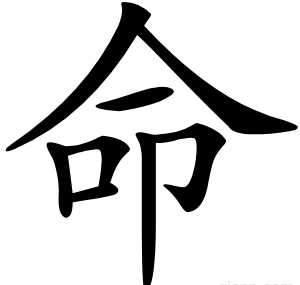 命